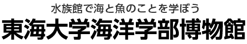 東海大学自然史博物館 恐竜のはくぶつかん