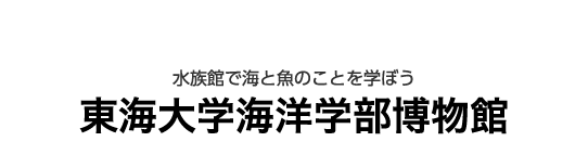 クマノミに会える！水族館と博物館 東海大学海洋学部博物館