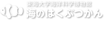 東海大学海洋科学博物館 海のはくぶつかん 水族館で海と魚のことを学ぼう！