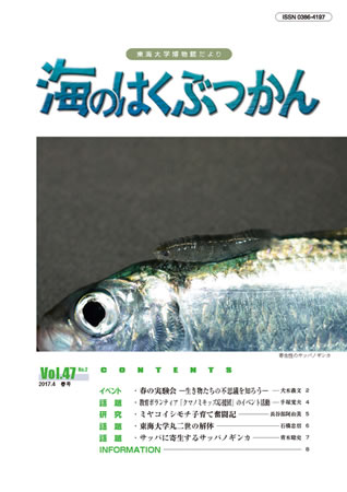 海のはくぶつかん2017 （Vol.45 No.1）