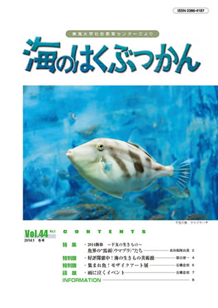 海のはくぶつかん2014 