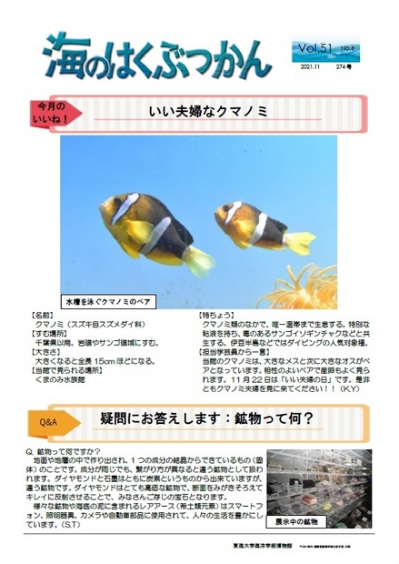 海のはくぶつかん2021 