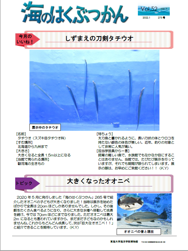 海のはくぶつかん2022 